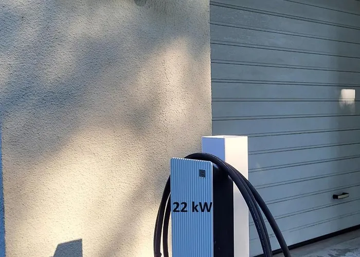 Saulute פלאנגה